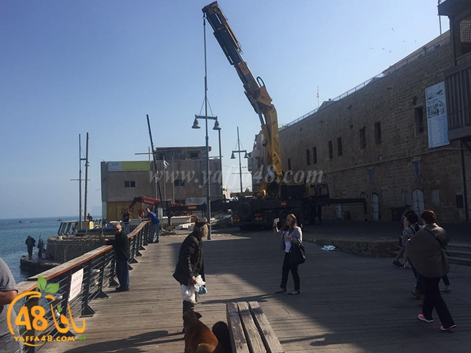 plane mina2a (6).jpg